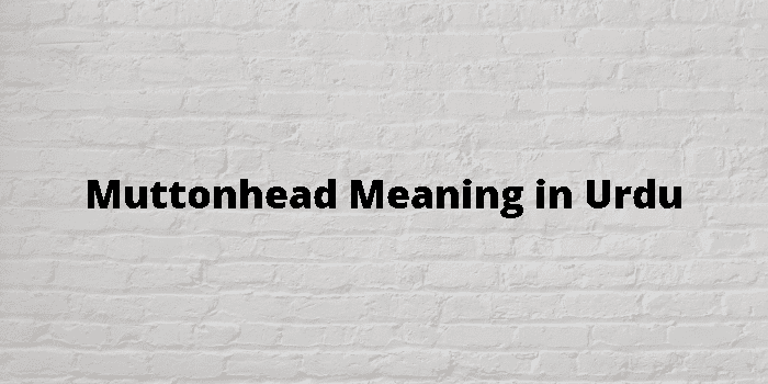 muttonhead meaning