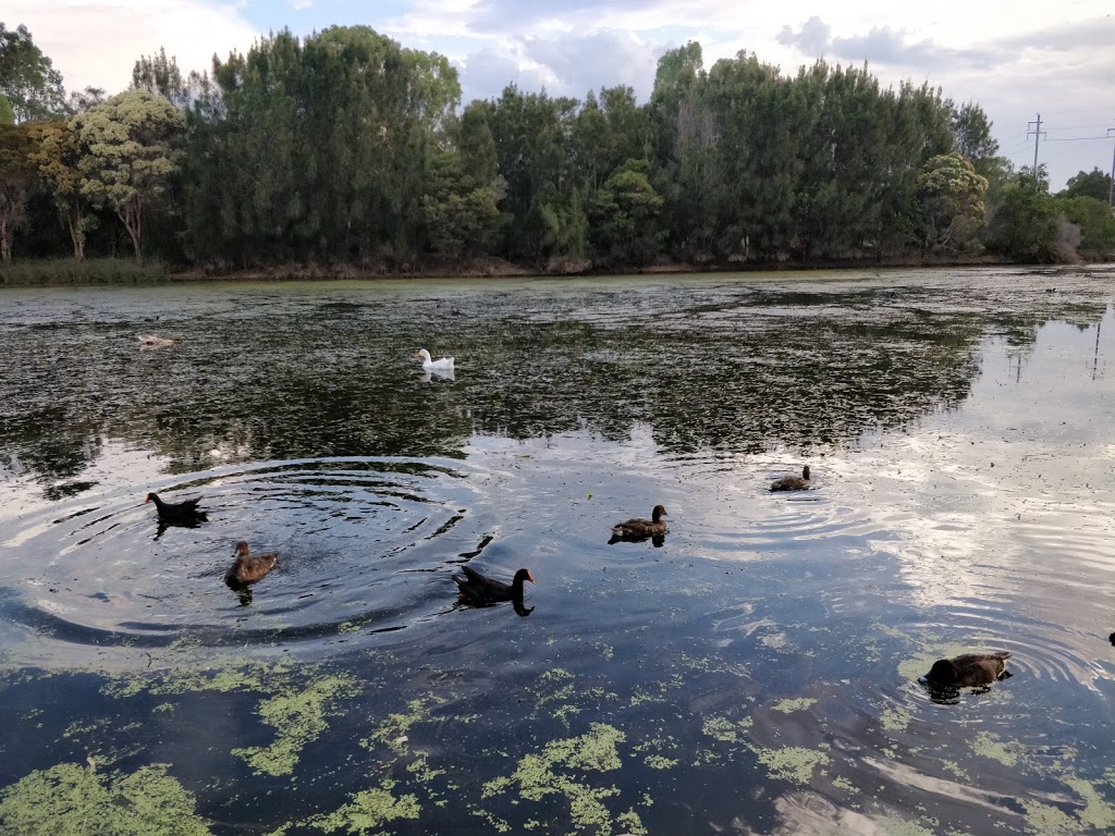 william lawson wetland