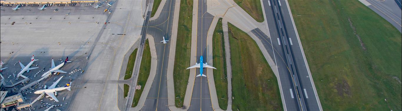 pearson airport flight arrivals