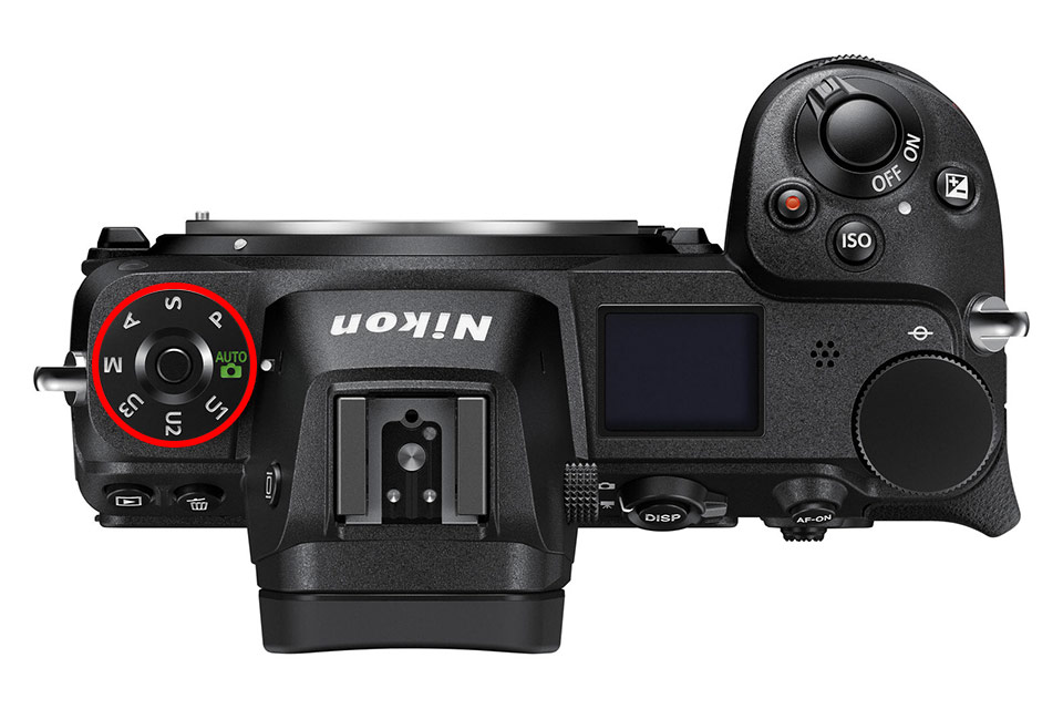 nikon z6 settings for sports