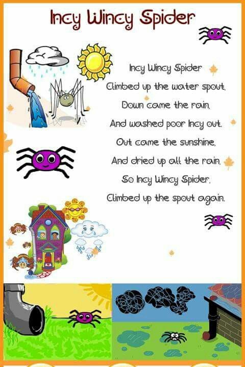 nursery rhymes songs incy wincy spider