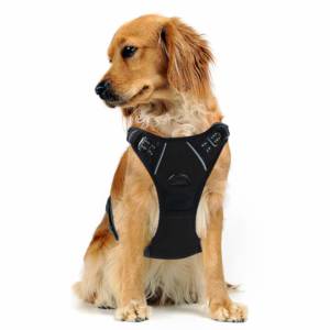 rabbitgoo dog harness uk