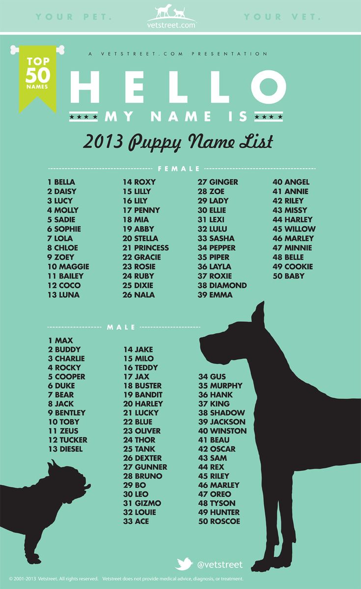 top 100 staffy dog names male