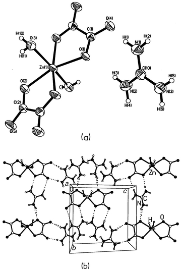 zinc ii oxalate