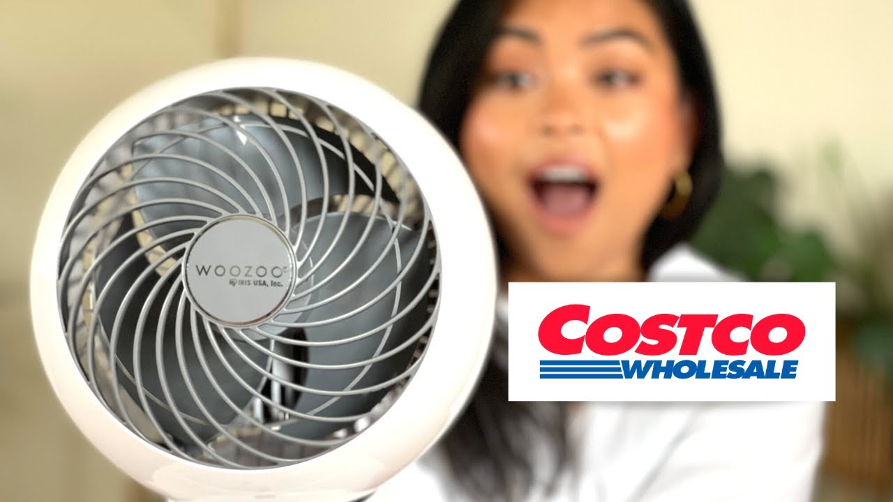 costco fan