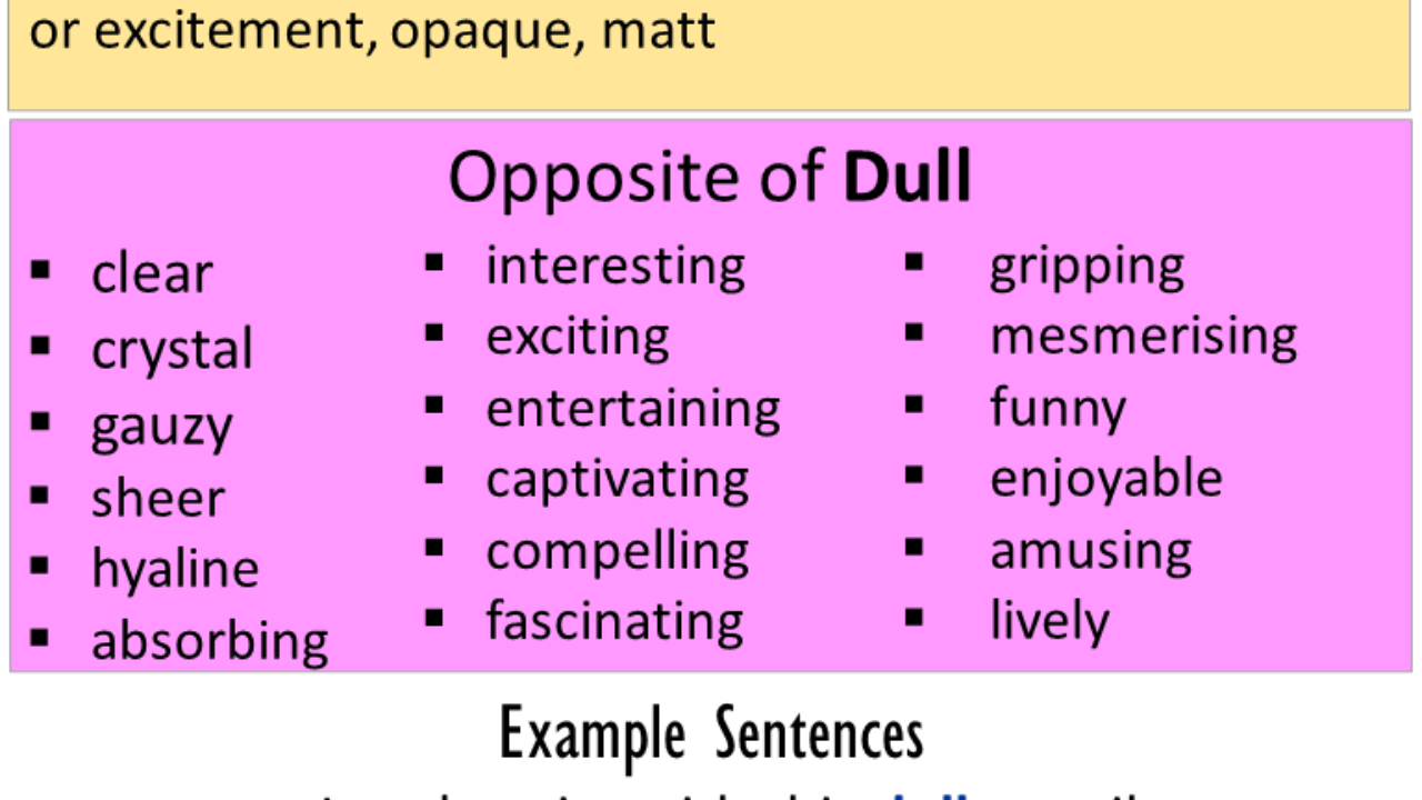 opposite of dull