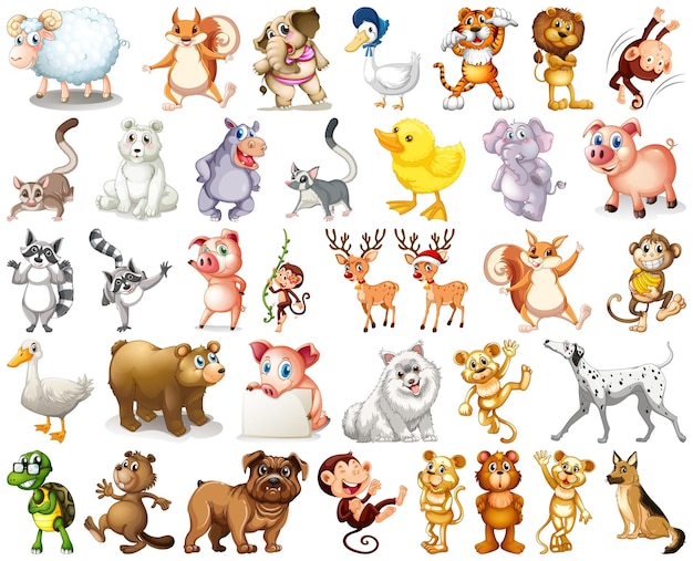 animal clipart images