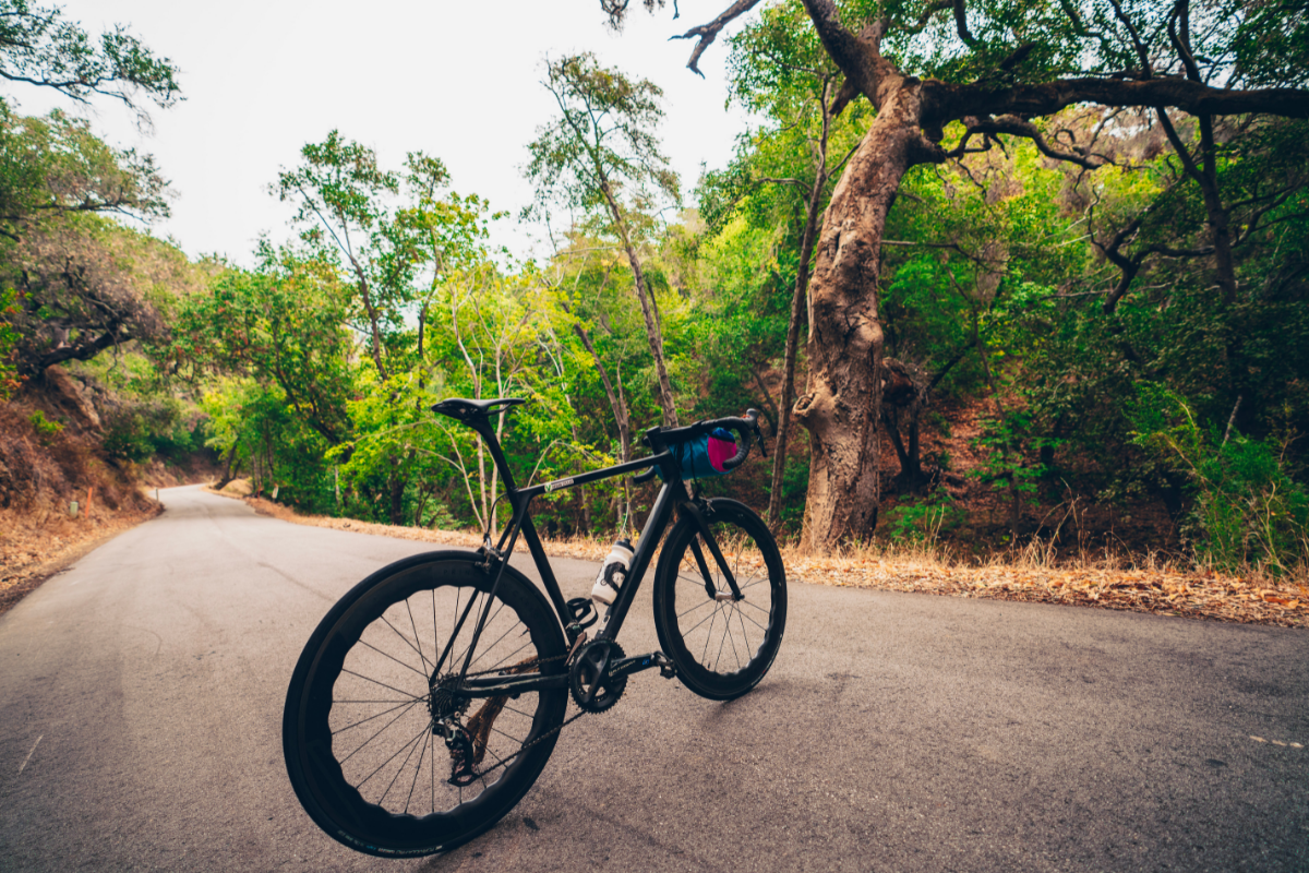 cambria bicycle