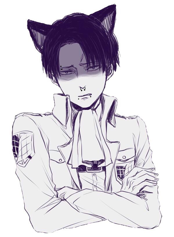 neko levi ackerman