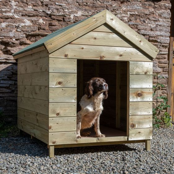 dog kennel