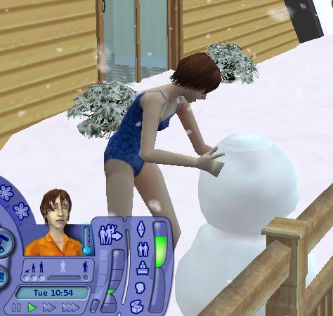 sims 2 freezing