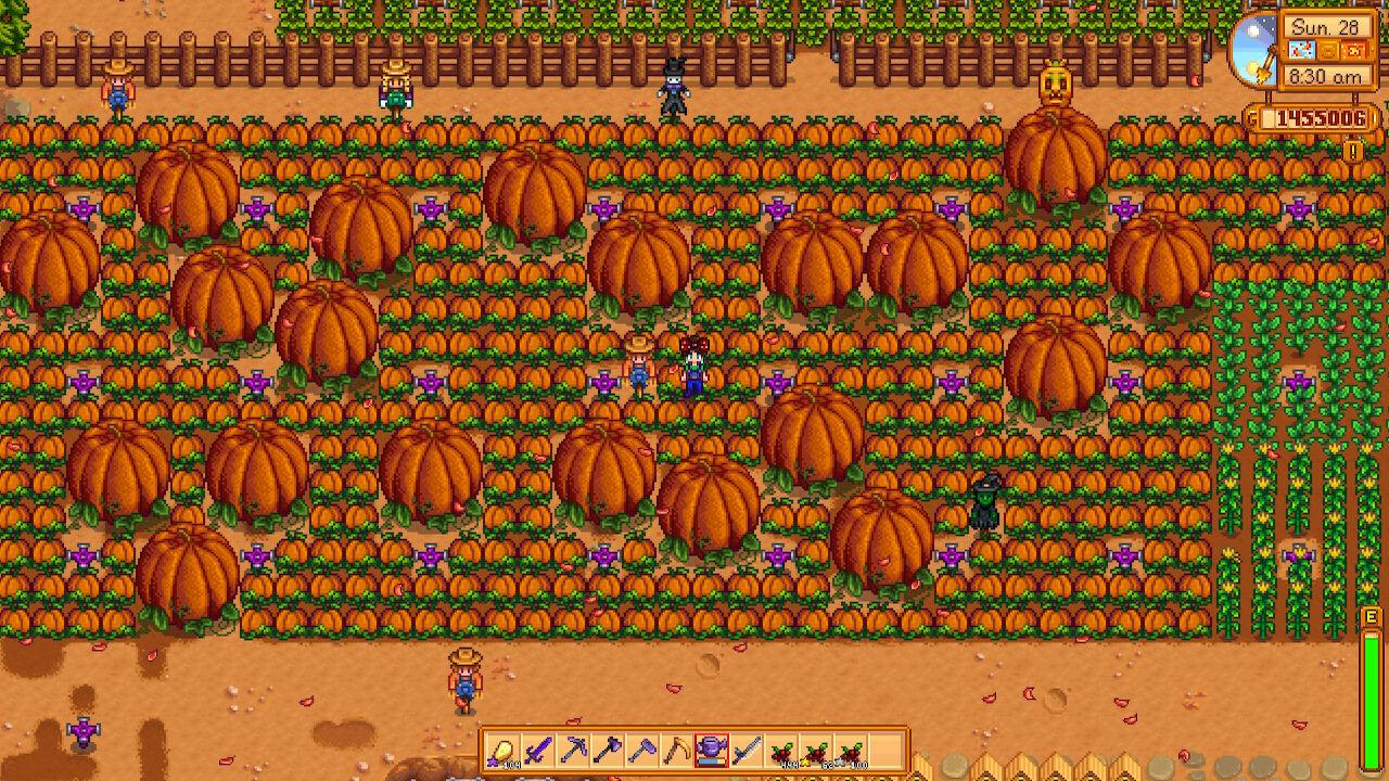 pumpkin stardew valley