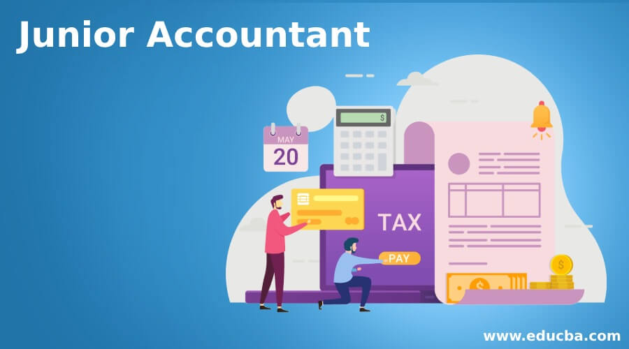 junior accountant pay