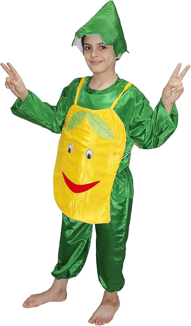 fancy dress ideas for boy kid in india