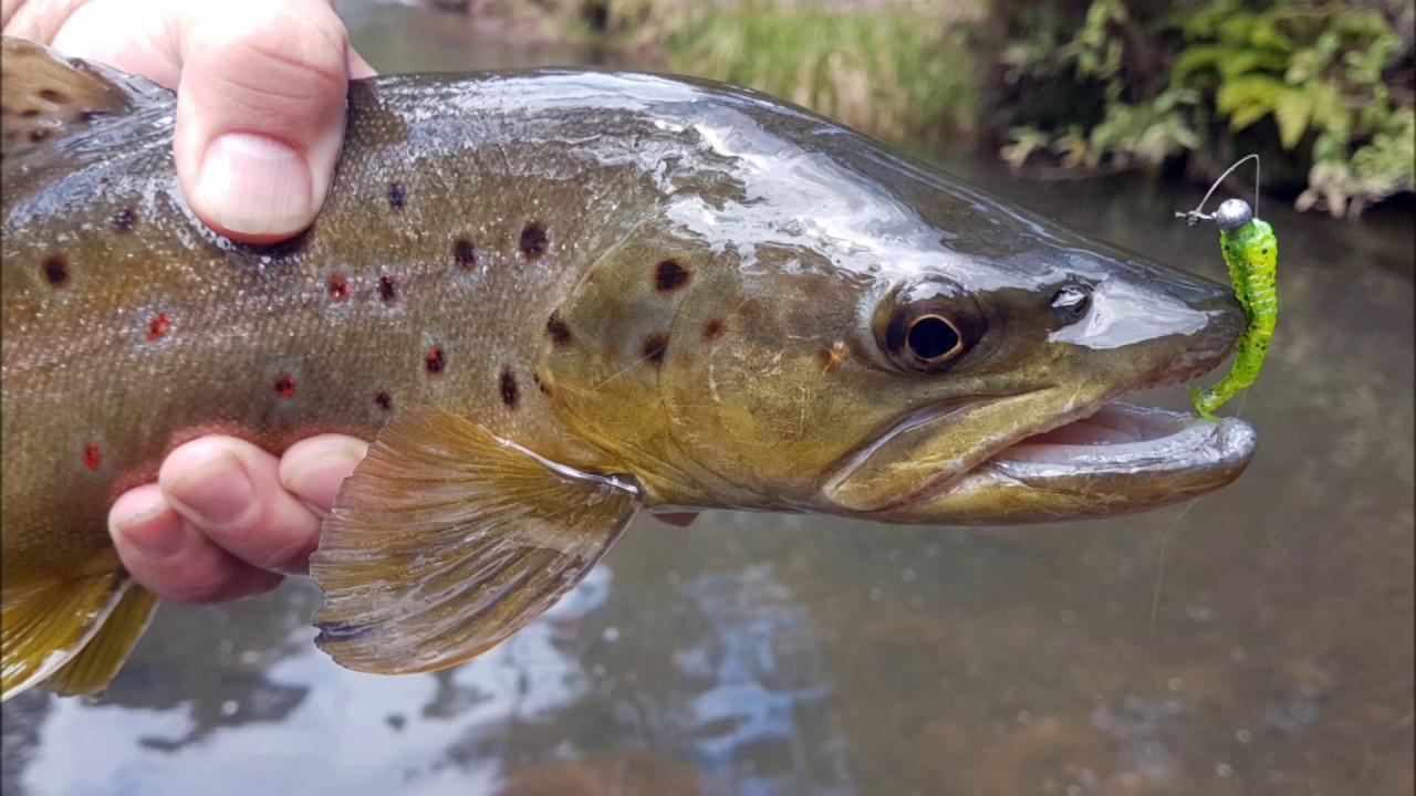 trout video uncensored