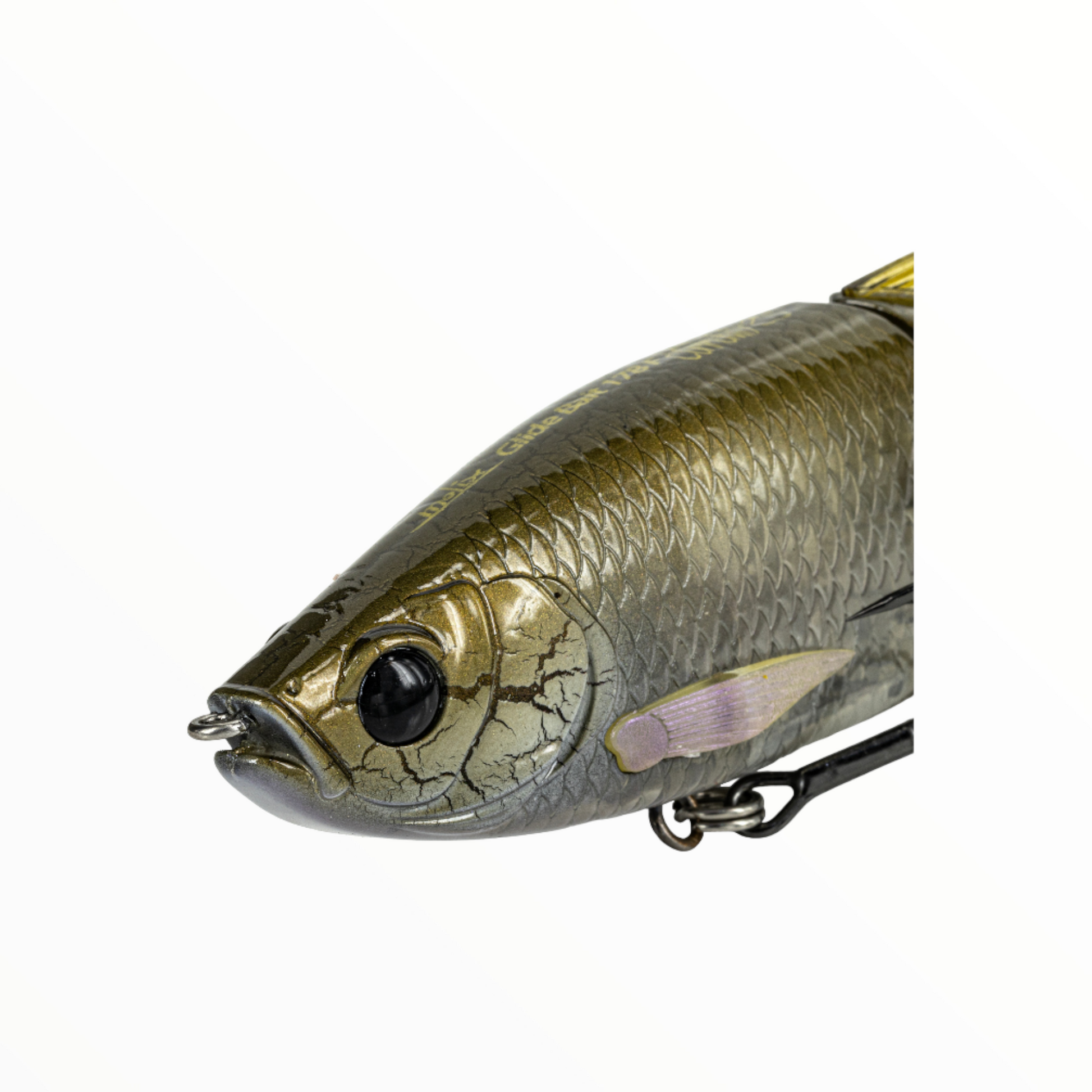 swimbait community