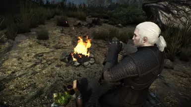 complete animations witcher 3