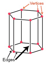 how many vertices does a hexagonal prism