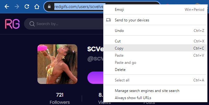 redgifs.com downloader