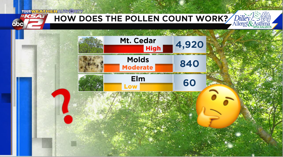 allergy index today