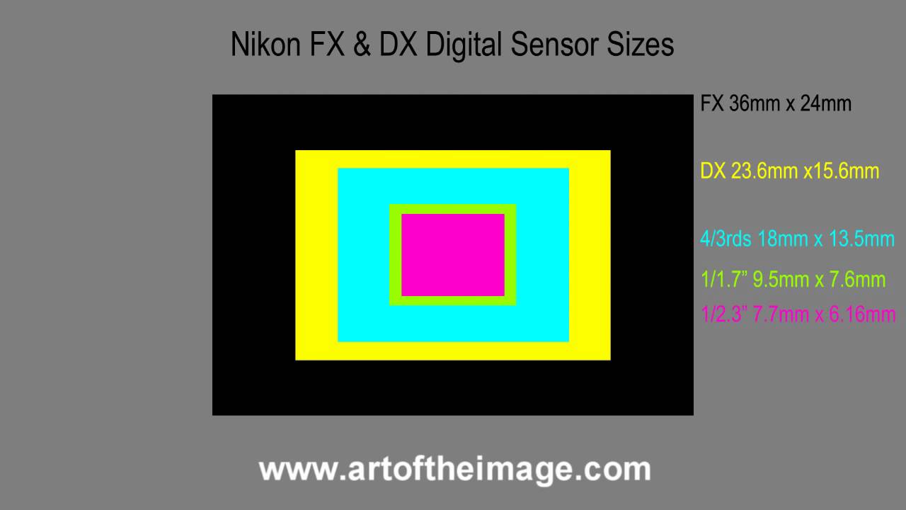 nikon sensor size