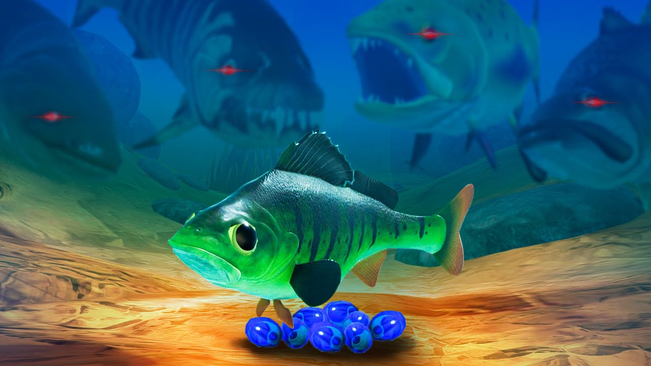 fish feed and grow game