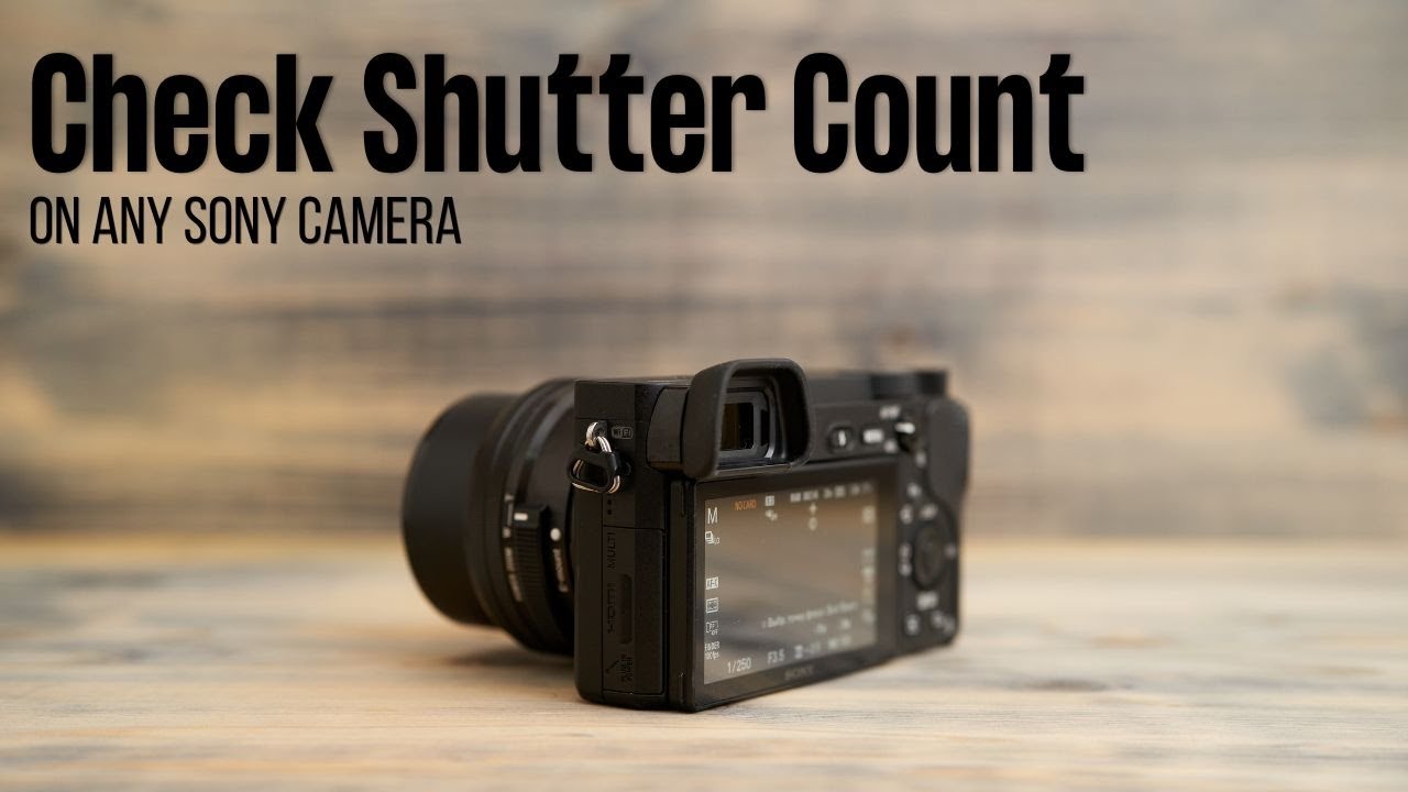 check shutter count sony a6000