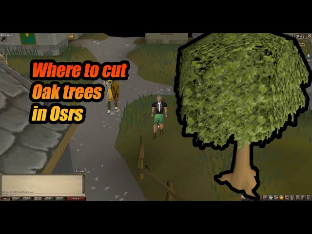 osrs oak tree