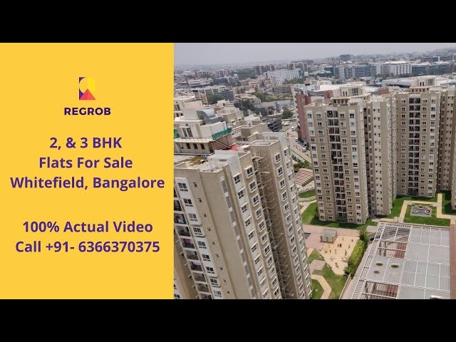 3 bhk flats for sale in whitefield bangalore