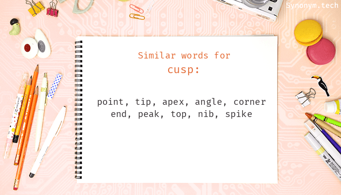 cusp synonym