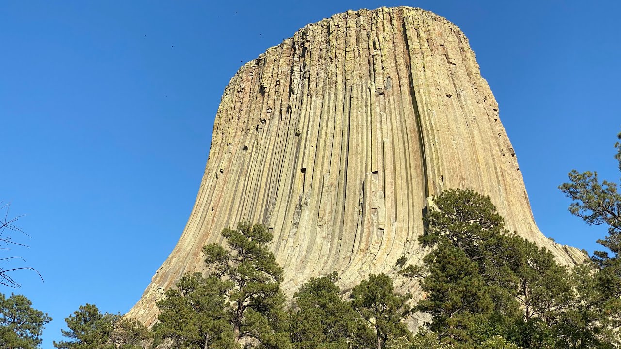 tree mountains