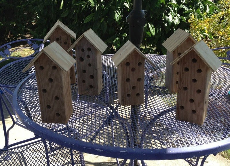 carpenter bee house diy