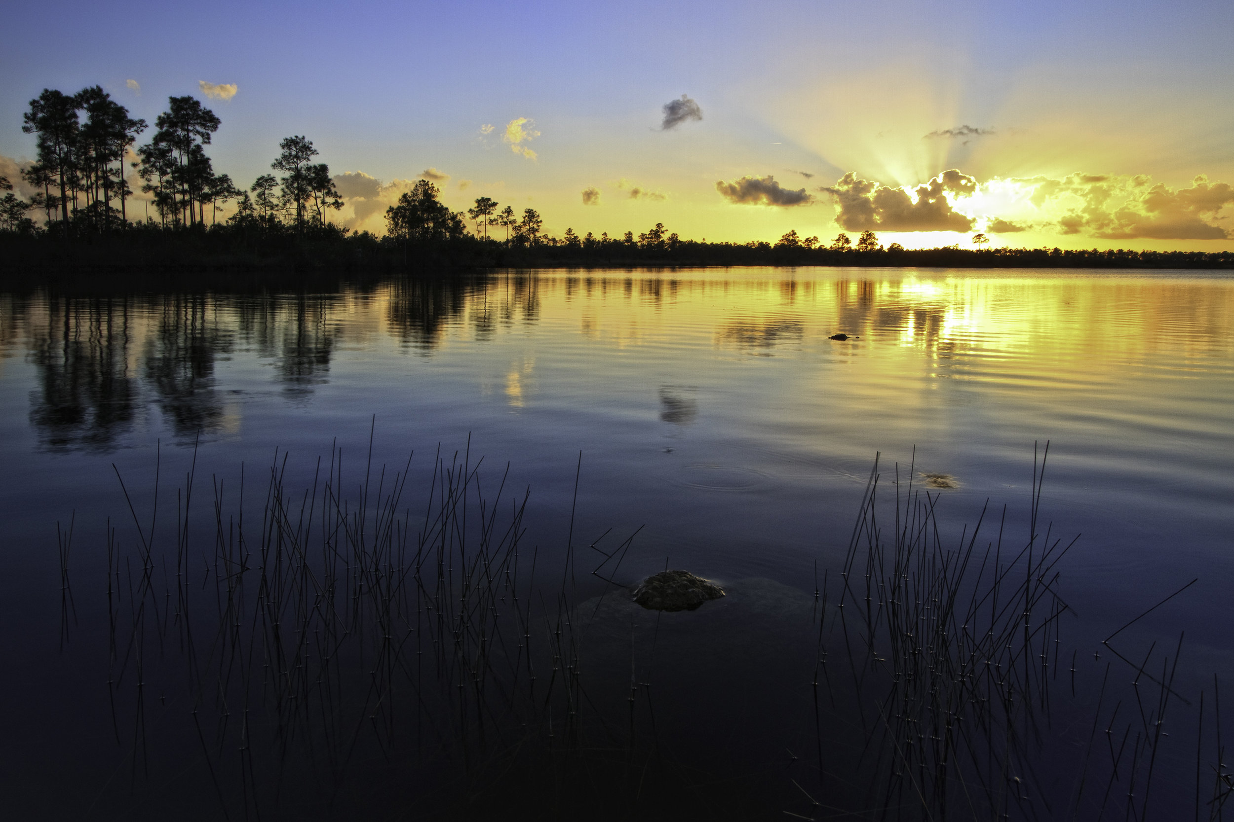 lakeside simple cremation