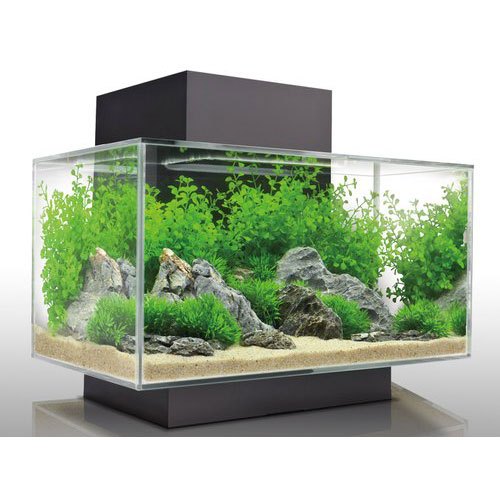 acrilic fish tank