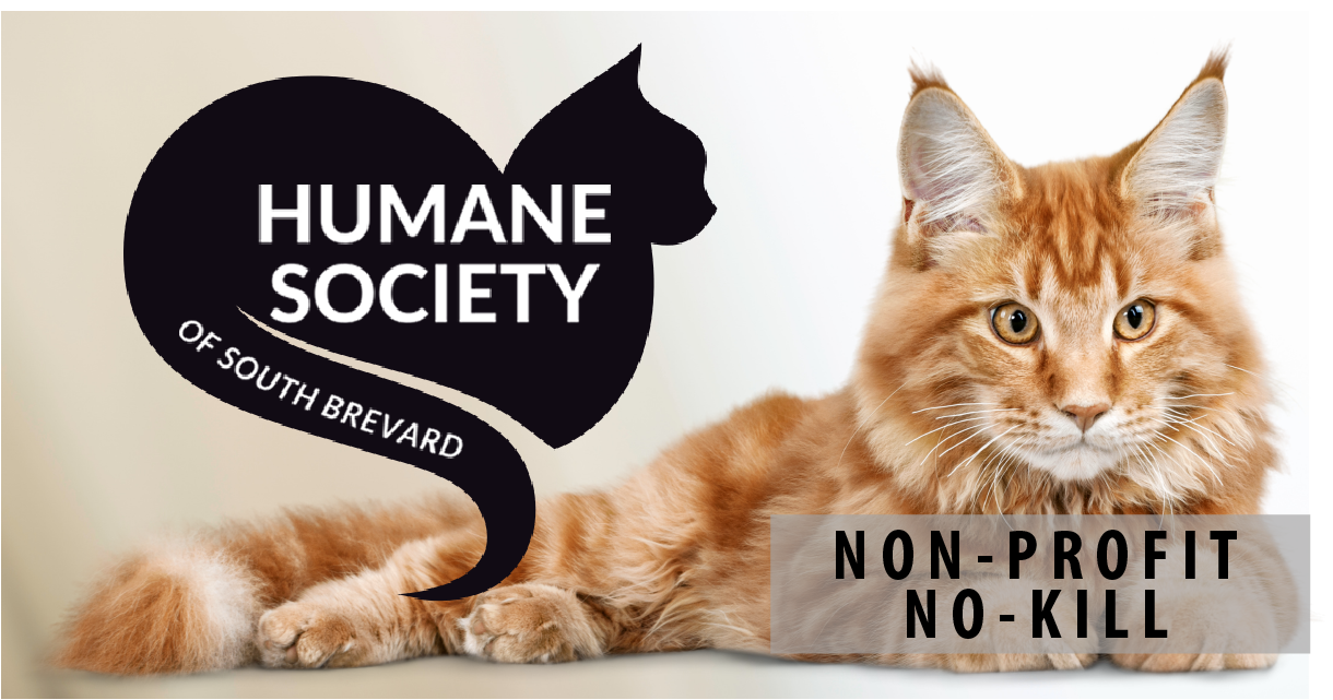 humane society of south brevard inc. photos