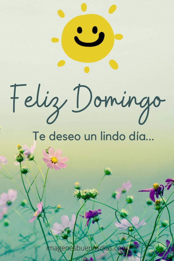 imagenes bellas de feliz domingo