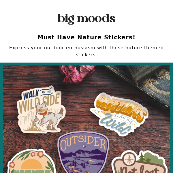 big moods coupon code