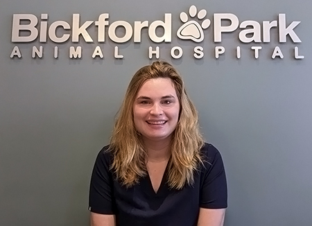 bickford animal hospital