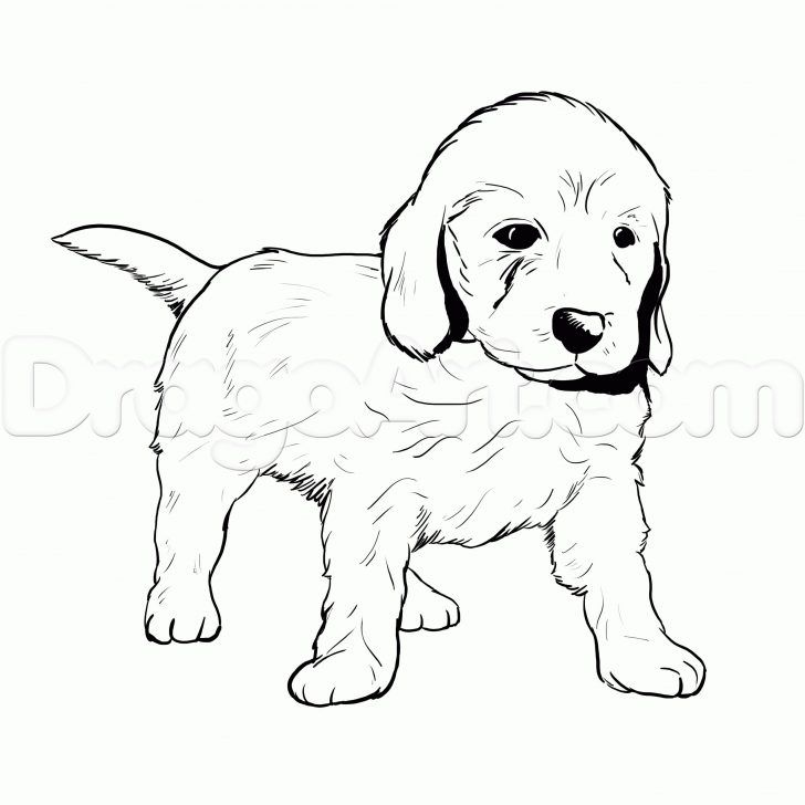 golden retriever dog coloring pages