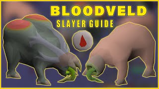 osrs bloodveld