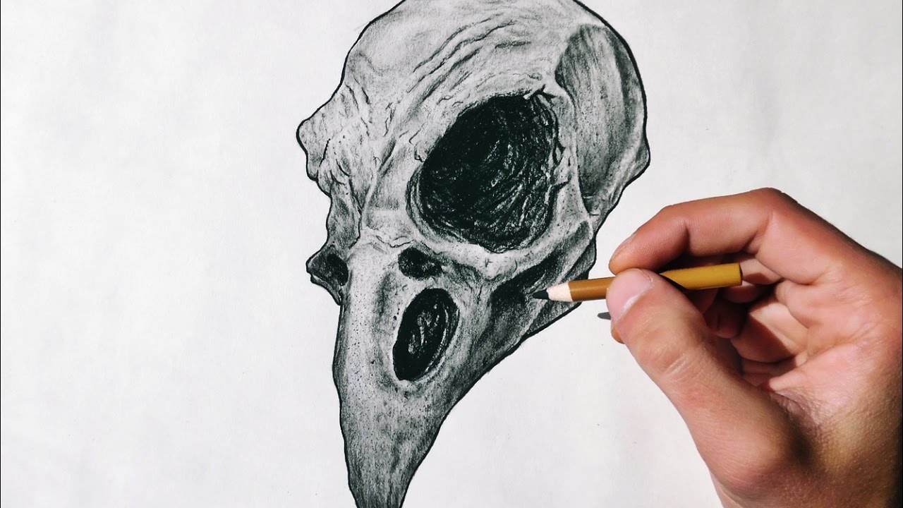 animal skull drawings