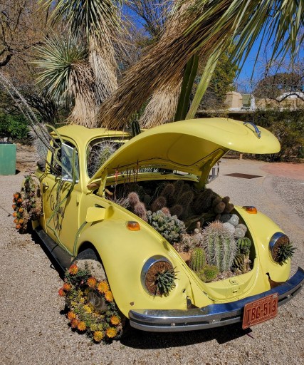 botany volkswagen