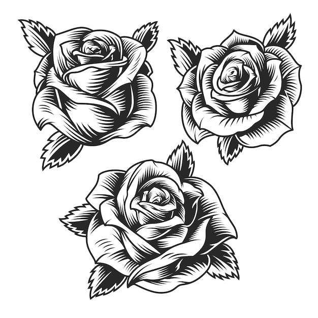 tatuajes de rosa