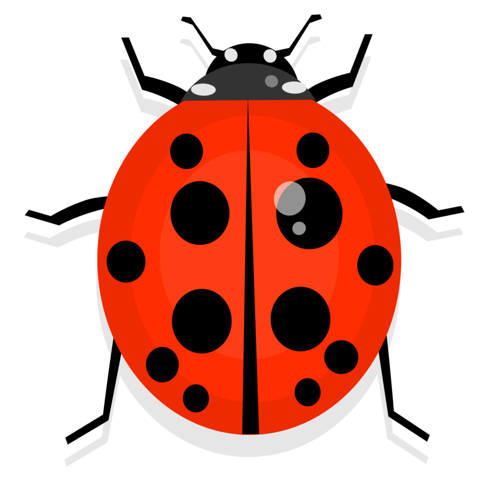 ladybug png