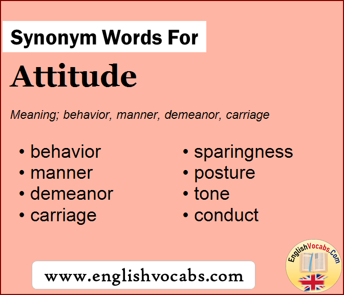 synonyms for attitudes