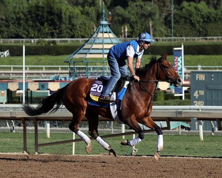 santa anita winners today