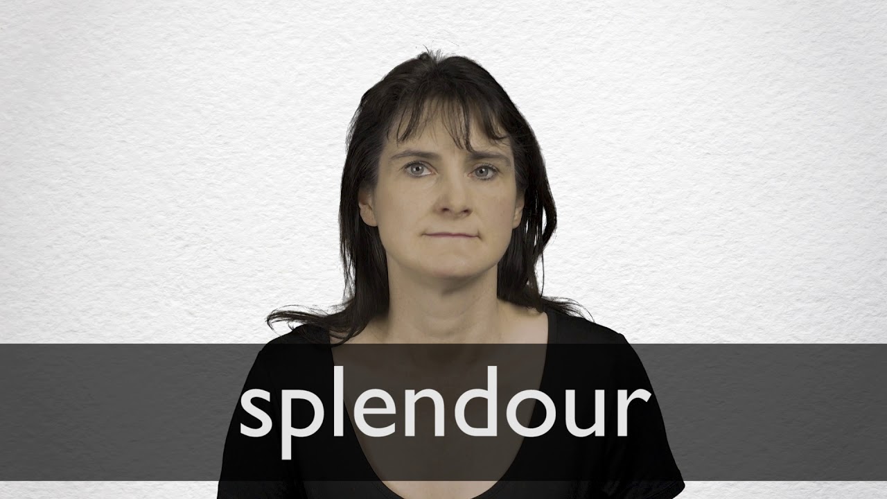 synonyms for splendour