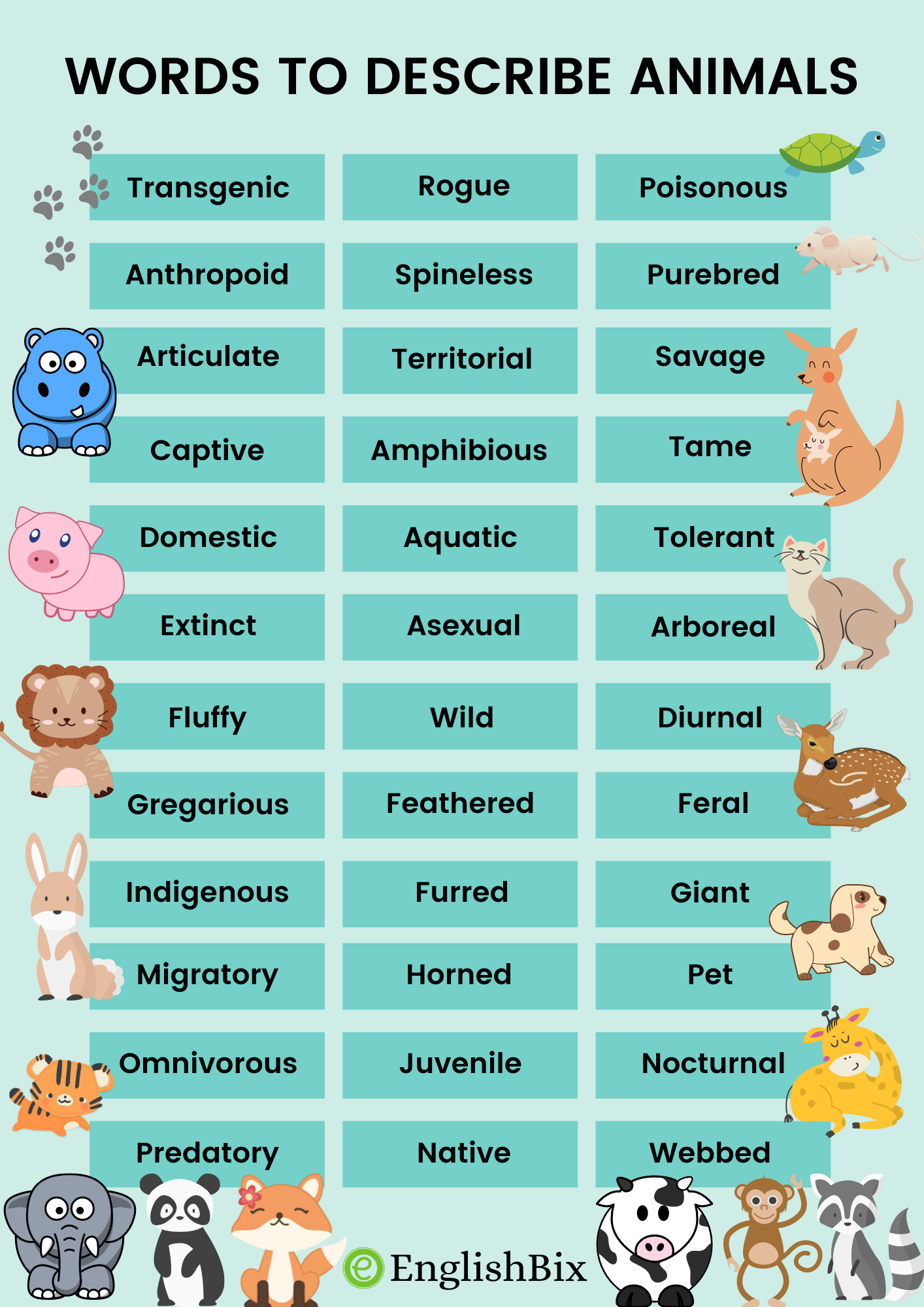 adjectives for describing animals