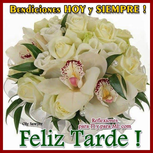 feliz tarde bendiciones