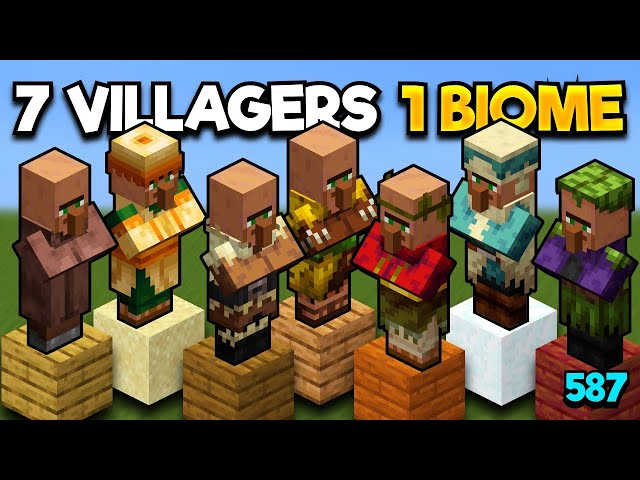 how many types of villages are there in minecraft